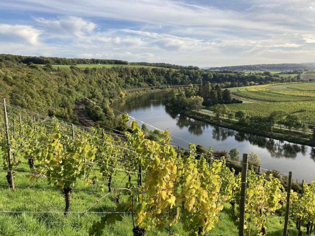 Holiday Apartment Near The Moselle With Terrace Wehr  Exterior photo